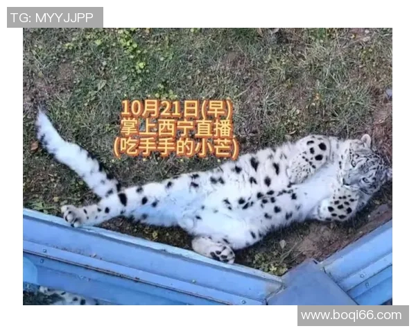 足球坛吃手事件盘点 揭秘那些曾因吃手引发争议的球星